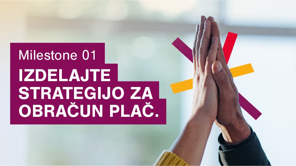 The Payroll Navigator Series - Solvenia